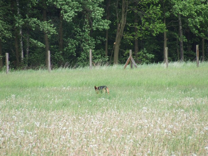 DSCF3718.JPG