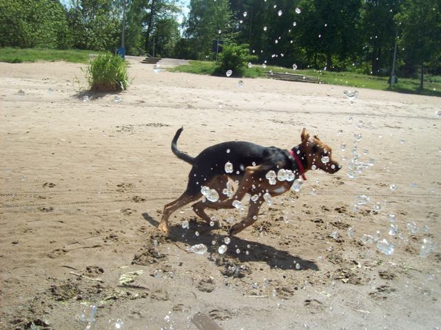 100_2260.JPG
