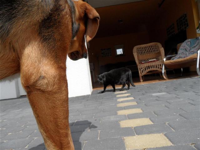 No to go mam....JPG