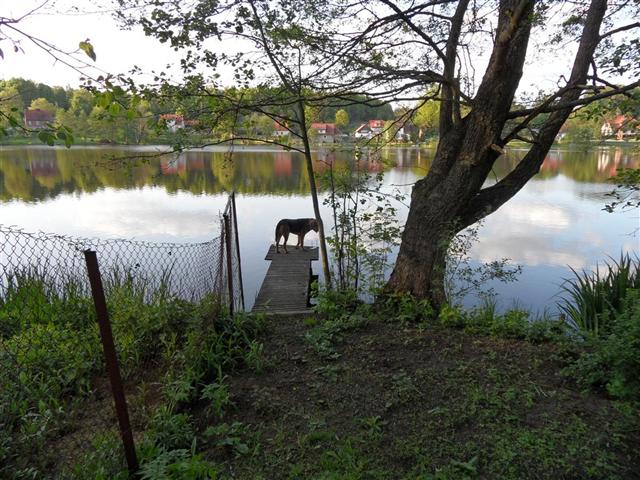 Pić....JPG