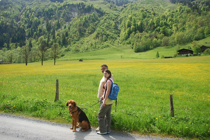 Alpejskie łąki.