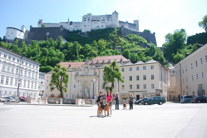 Nie tylko ja zwiedzalem miasto.