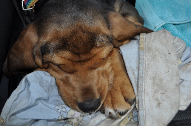 DSC_1114 (640x425).jpg