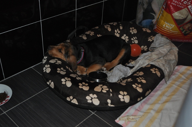 DSC_1286 (640x425).jpg