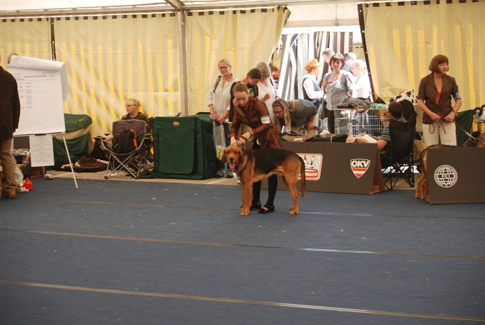 DSC_0539.JPG
