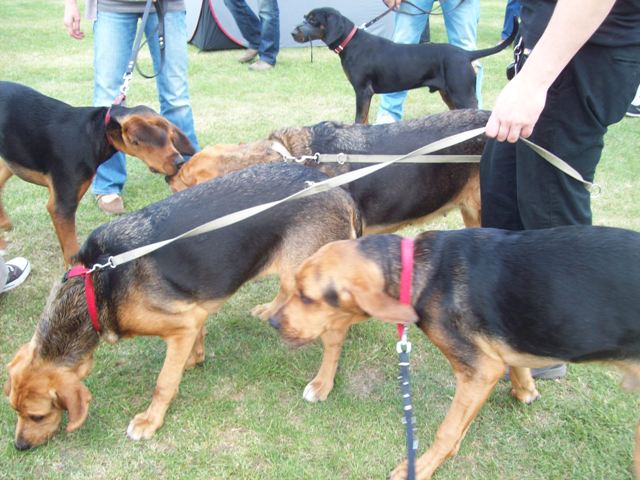 100_2379.JPG