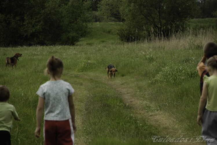 calveciki spacerowe (60 of 75).jpg