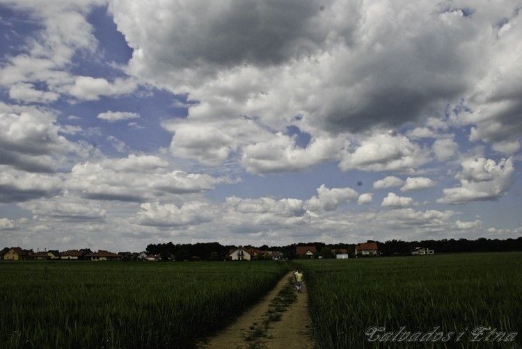 calveciki spacerowe (73 of 75).jpg