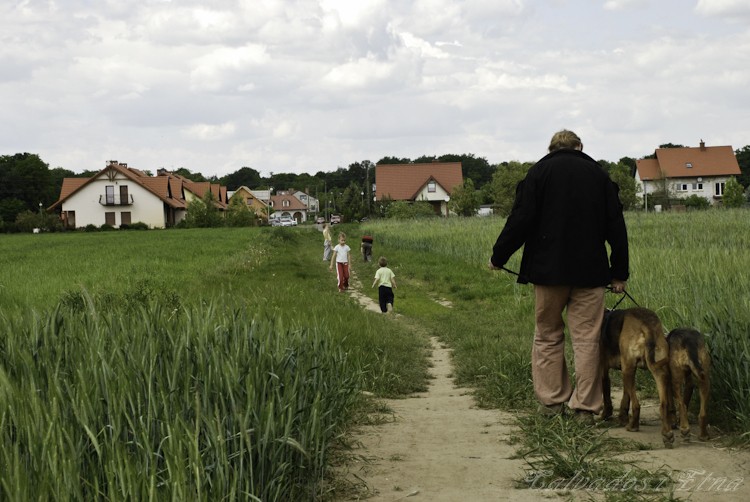 calveciki spacerowe (74 of 75).jpg
