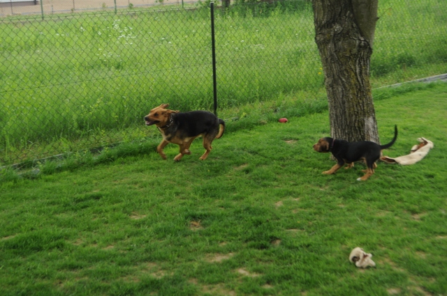 DSC_0133 (640x425).jpg