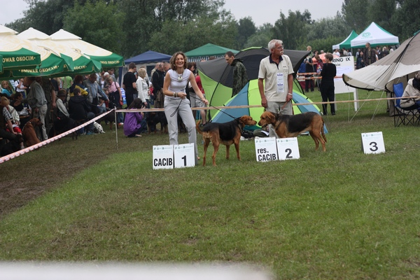 Leśna i Żywia