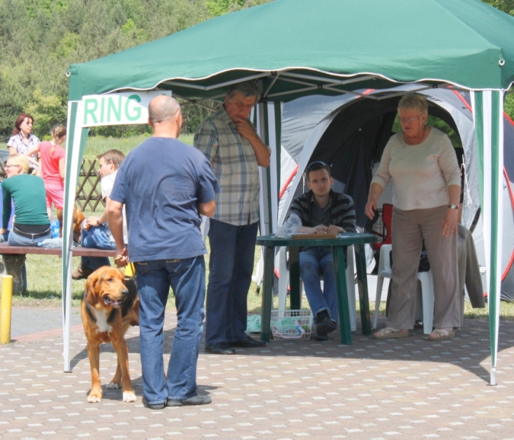 _MG_9789.JPG
