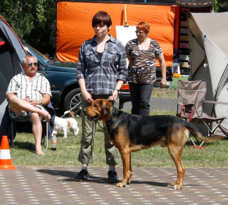 _MG_9786.JPG
