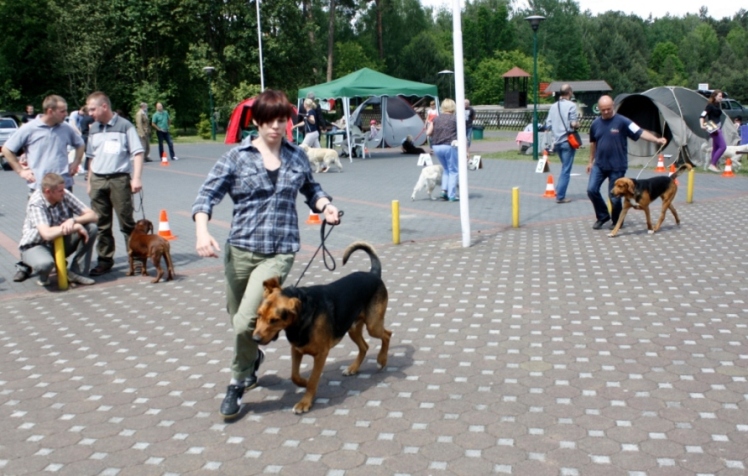 Za szybko biegamy? Aparat nie nadąża z ostrością...