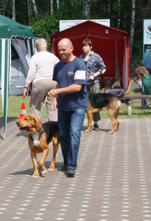 _MG_9799.JPG