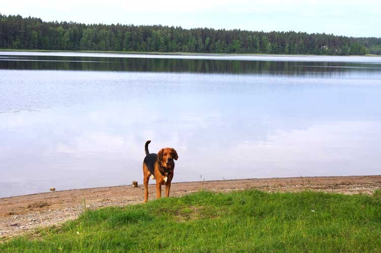 jezioro Pomorze.jpg