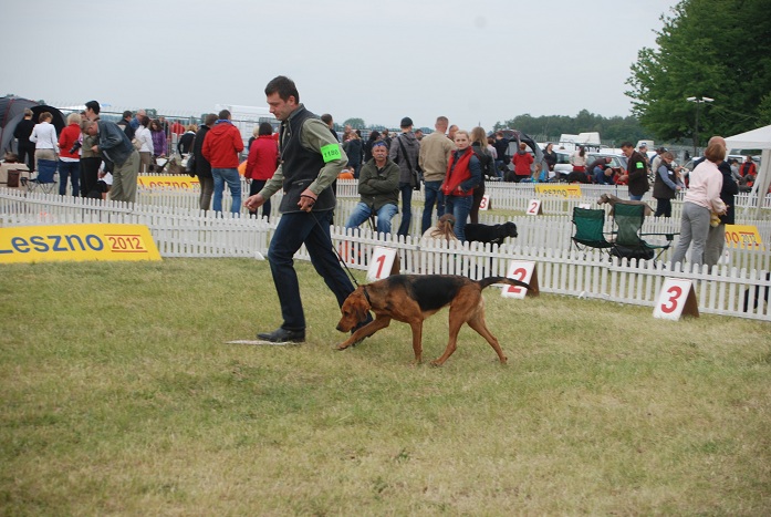 DSC_0078.JPG