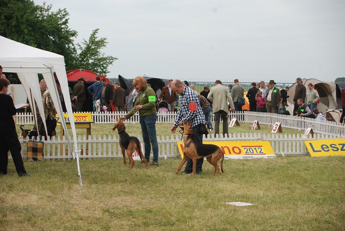 DSC_0095.JPG