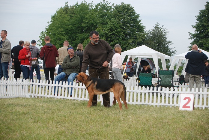 DSC_0146.JPG
