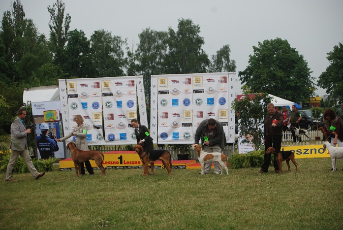 DSC_0242.JPG