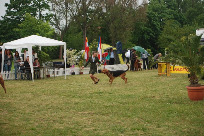 DSC_0245.JPG