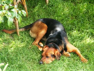 PICT0108.JPG