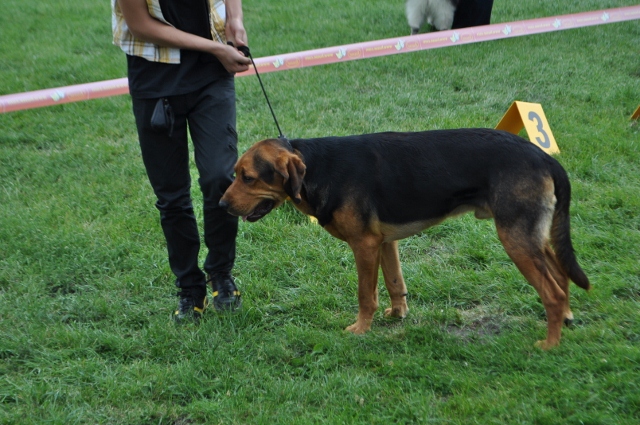 DSC_0536 (640x425).jpg