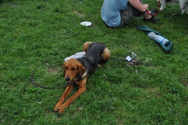 DSC_0547 (640x425).jpg