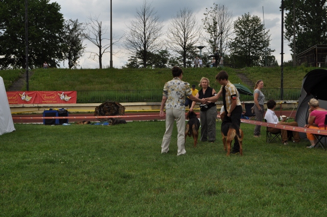 DSC_0562 (640x425).jpg