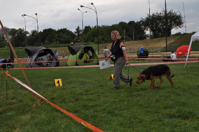 DSC_0563 (640x425).jpg
