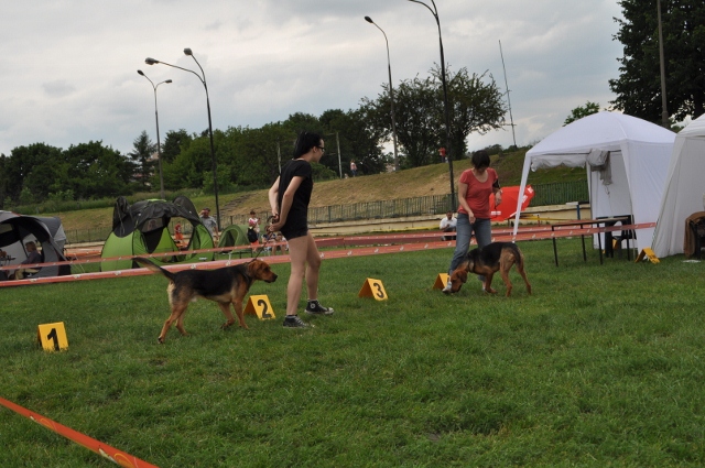 DSC_0569 (640x425).jpg