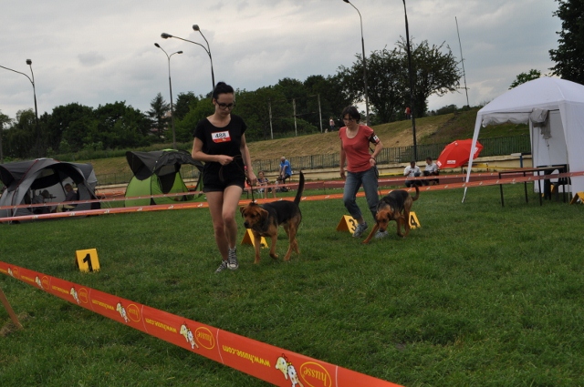 DSC_0570 (640x425).jpg