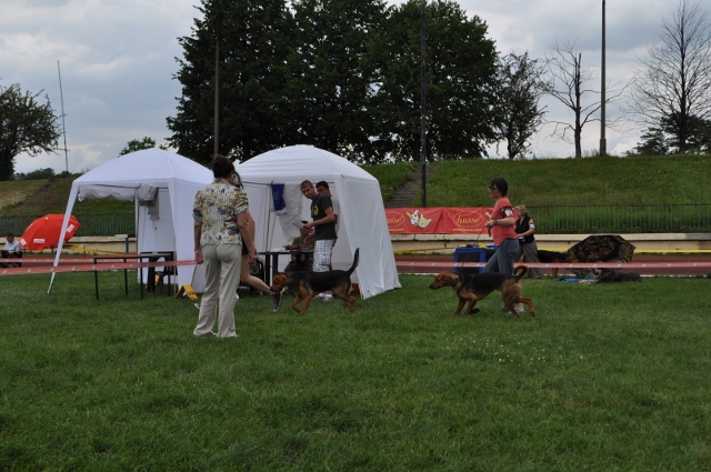 DSC_0572 (640x425).jpg