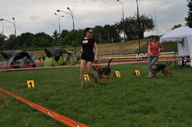 DSC_0573 (640x425).jpg