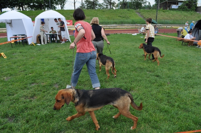 DSC_0583 (640x425).jpg