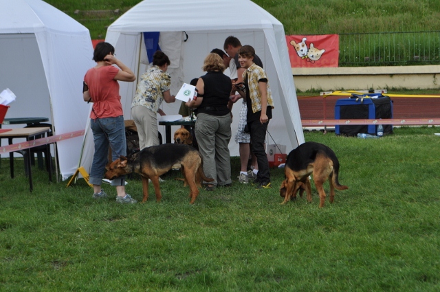 DSC_0586 (640x425).jpg