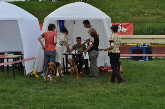 DSC_0589 (640x425).jpg