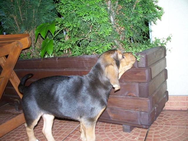 100_3987.jpg