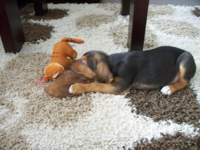 100_3994.jpg
