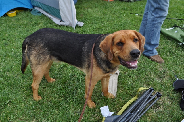 DSC_0611 (640x425).jpg