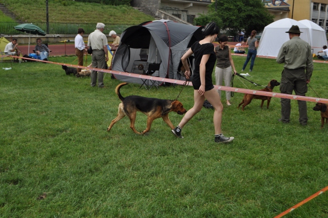 DSC_0529 (640x425).jpg