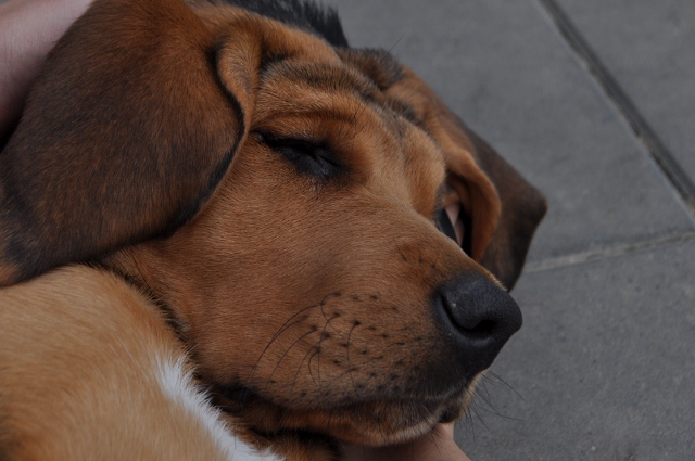 DSC_0604 (640x425).jpg
