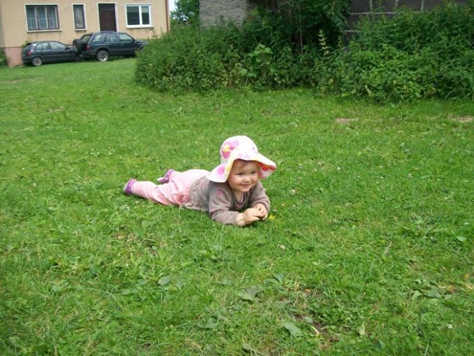 Lenusia