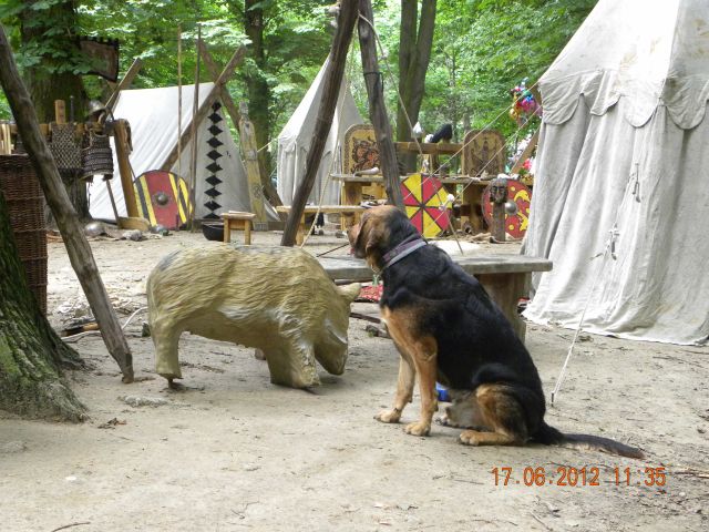 Maj 2012 370.jpg