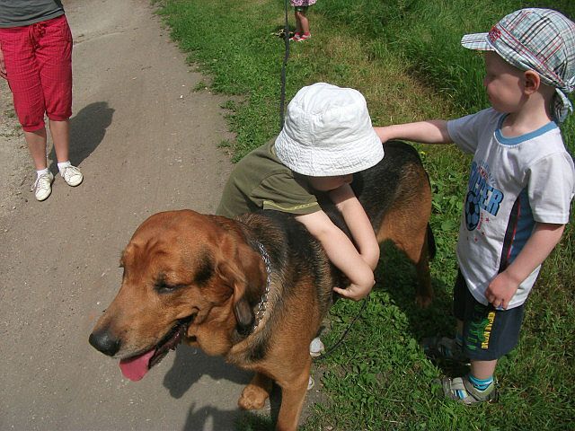 DSCF5722.JPG