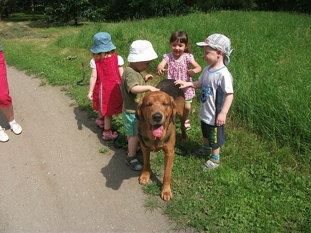 DSCF5720.JPG