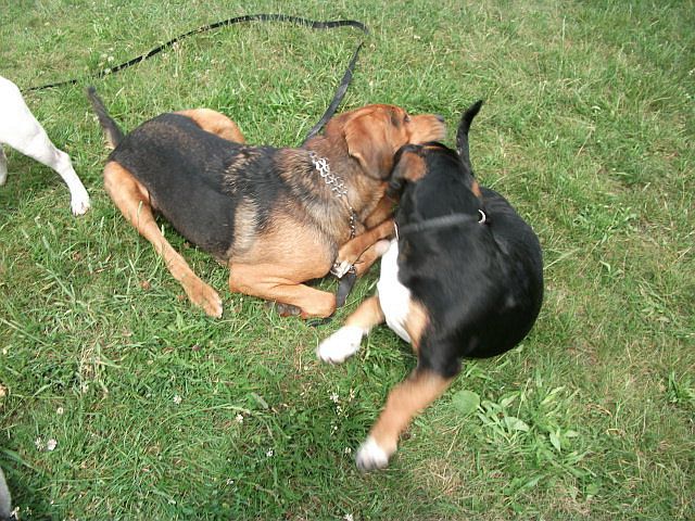 DSCF5742.JPG