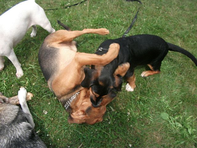 DSCF5743.JPG