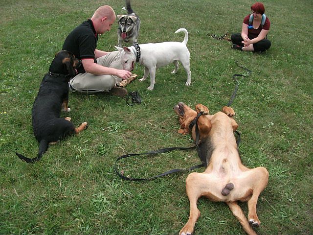 DSCF5750.JPG