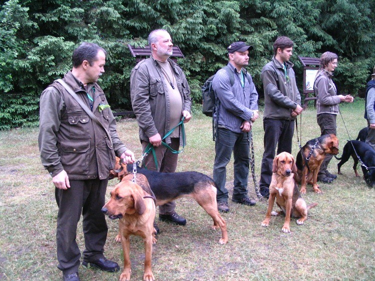 Przechlewka 2012.JPG